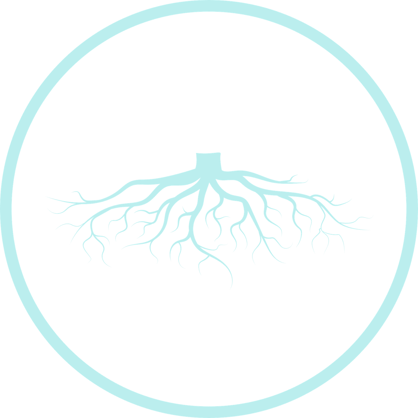 Pre-cursor Introductory space