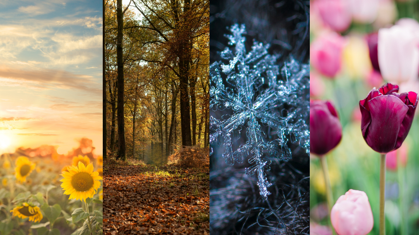 seasons blogpost