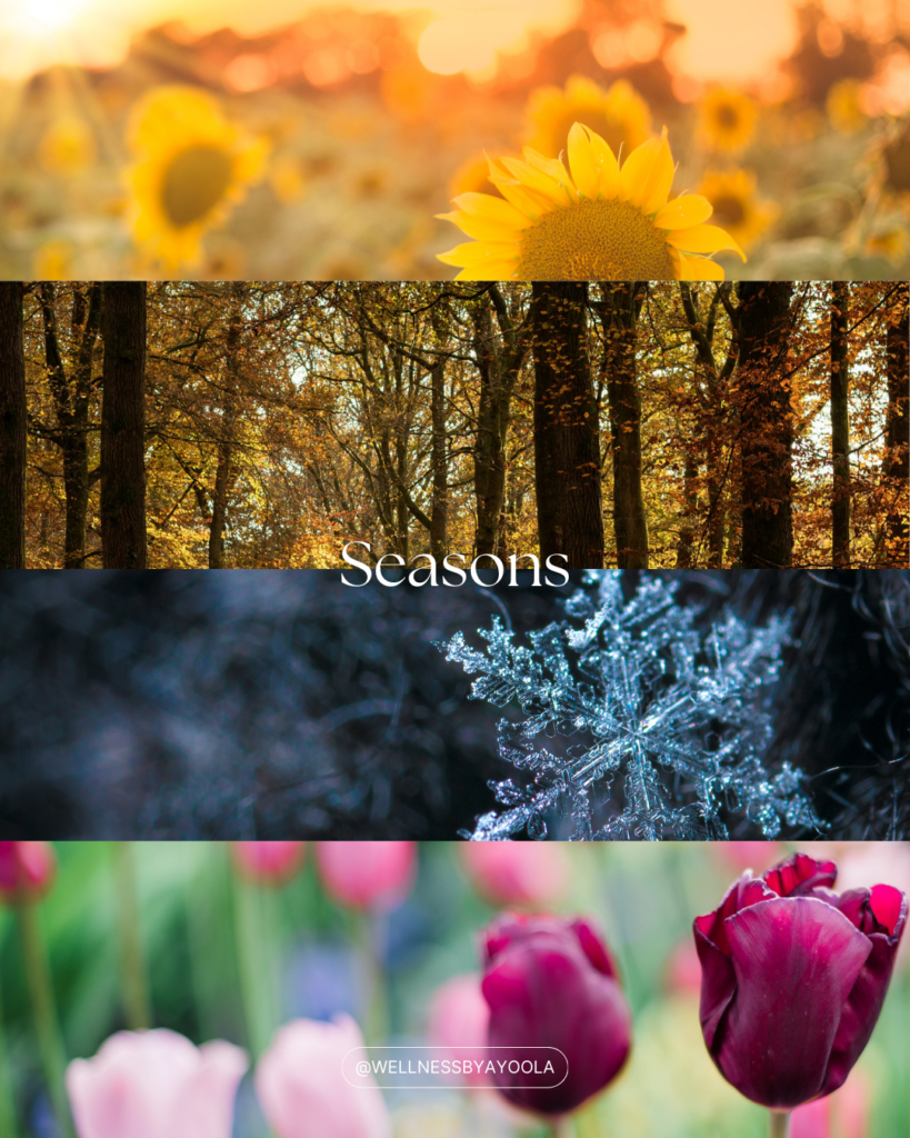 website blog visuals (instagram post (45))